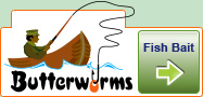 Click Here to buy Butterworms for Fish Bait