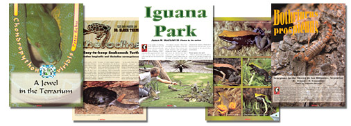 Reptilia Magazines