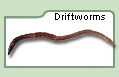 Driftworms