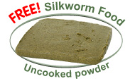 FREE Silkworm Food - Uncooked