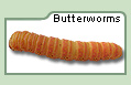 Butterworms